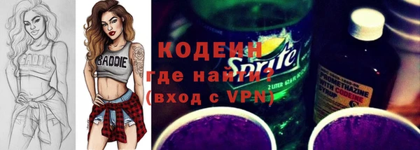 хмурый Белокуриха