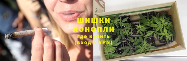 хмурый Белокуриха