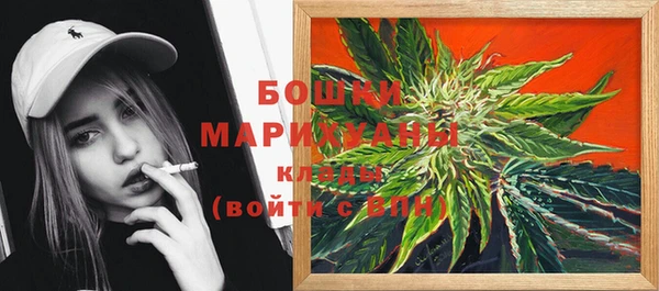 индика Белоозёрский