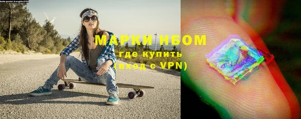 индика Белоозёрский
