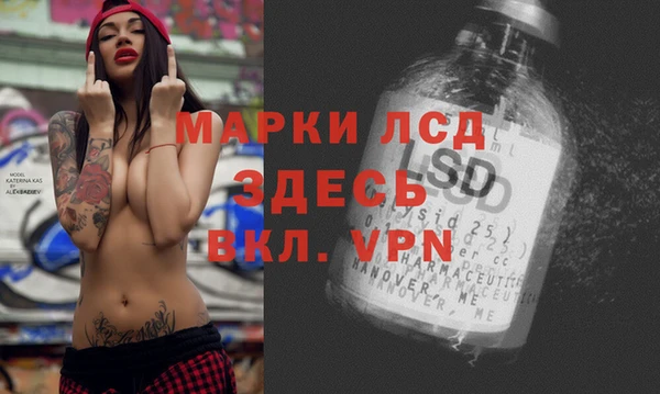 хмурый Белокуриха