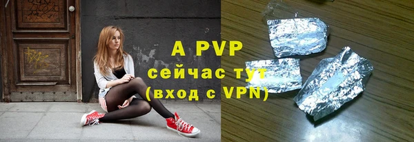 индика Белоозёрский