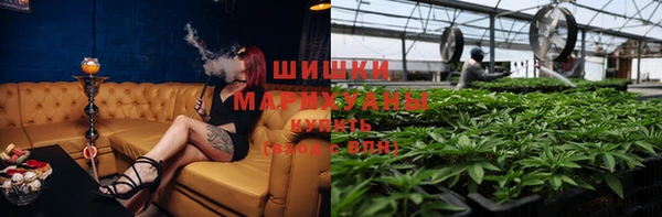 индика Белоозёрский