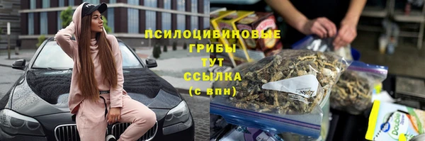 индика Белоозёрский