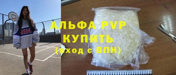 индика Белоозёрский