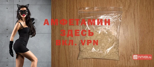 хмурый Белокуриха