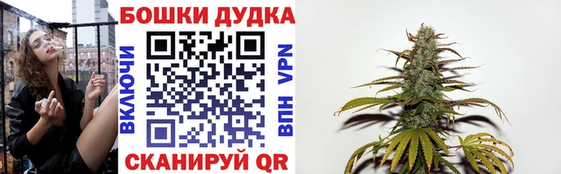 Конопля конопля Высоцк